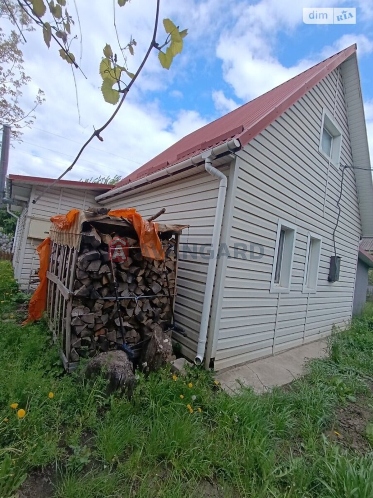 �������, 100 ��.�. ���� 5