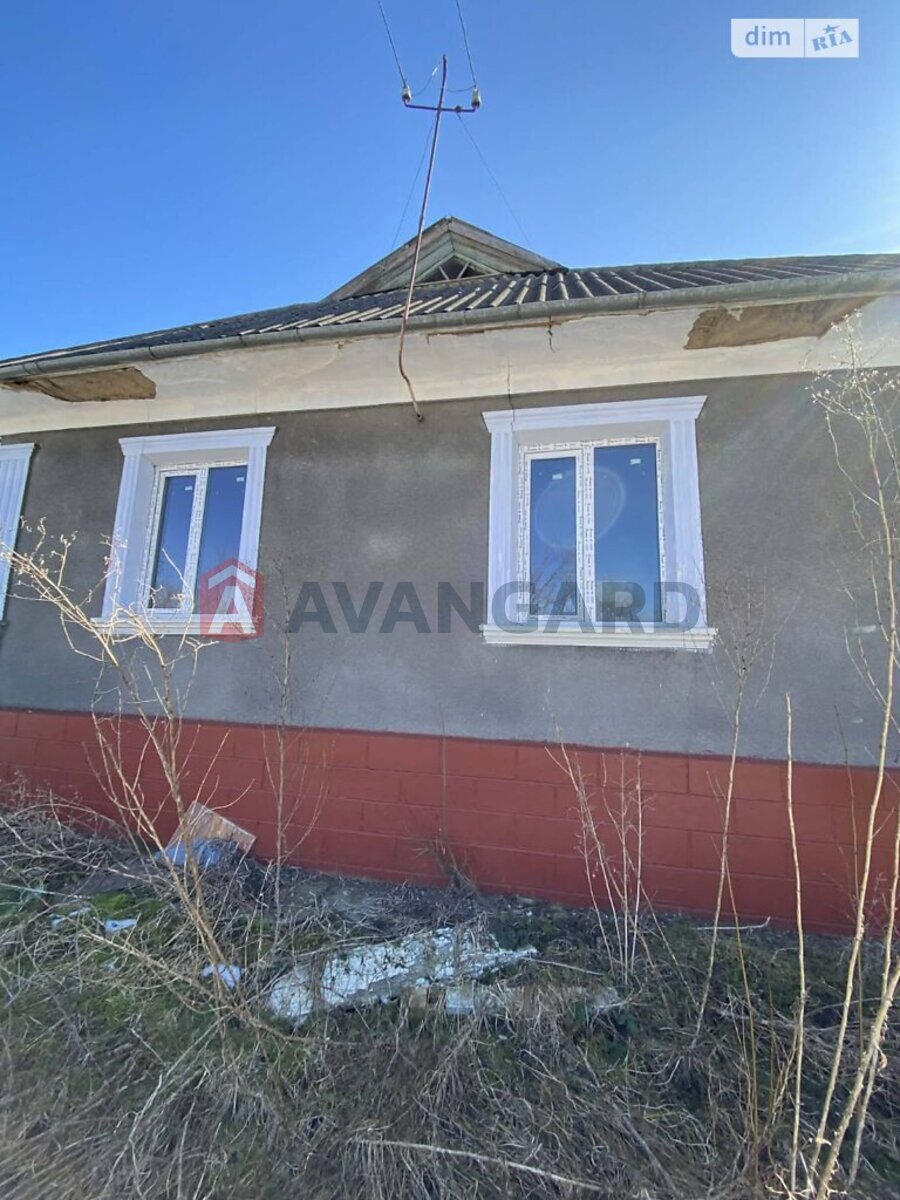 �������, 80 ��.�. ���� 3