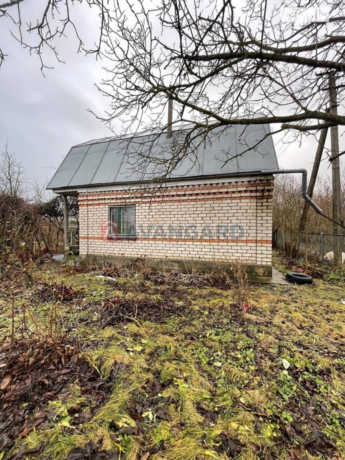 �������, 49 ��.�. ���� 9