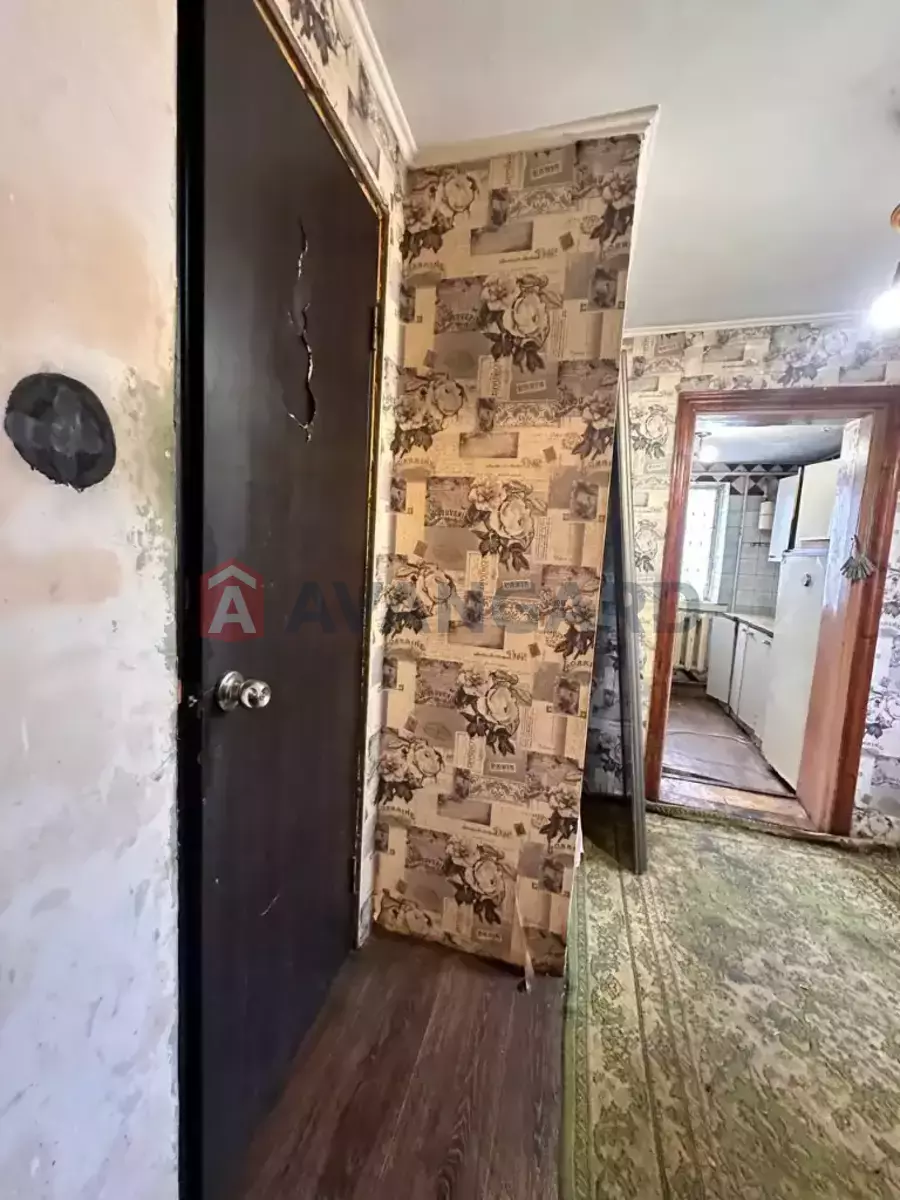 �������, 50 ��.�. ���� 14