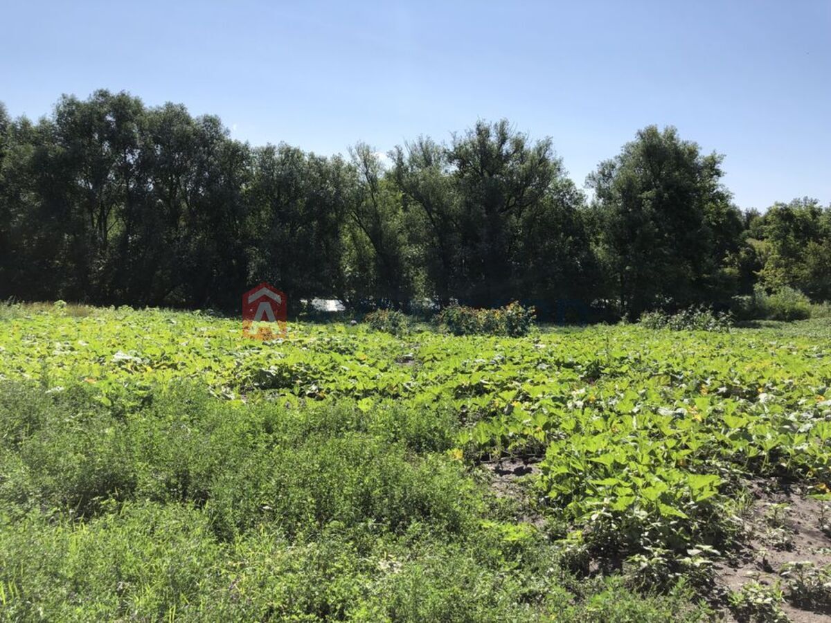 �������, 89 ��.�. ���� 23