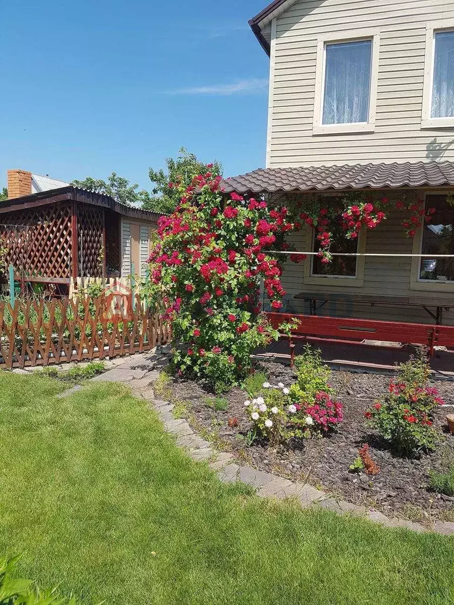 ����, 80 ��.�. ���� 1