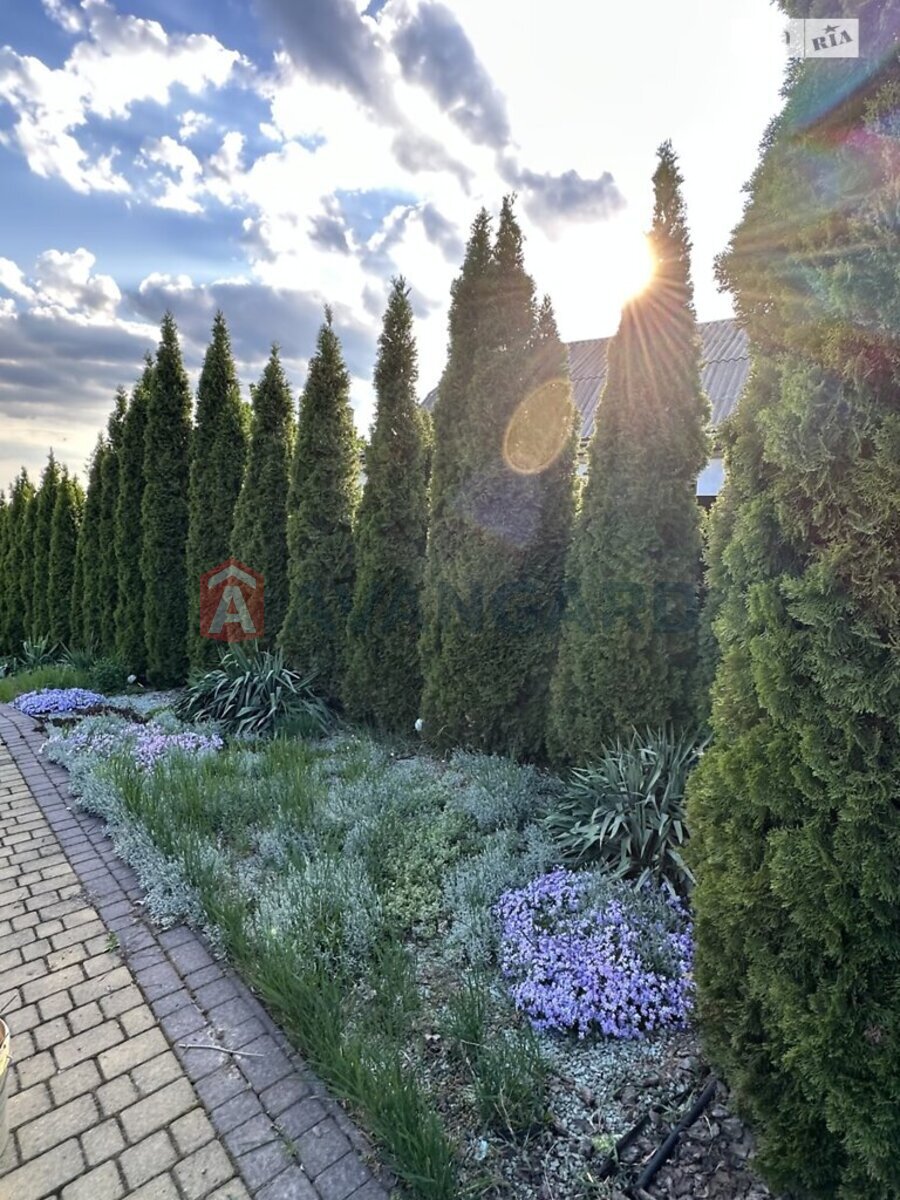 �������, 295 ��.�. ���� 4