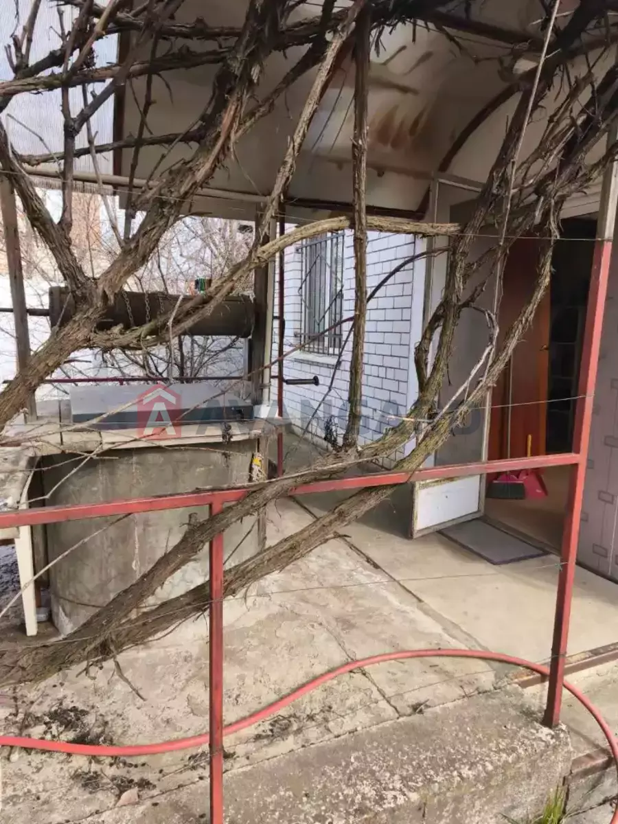 �������, 39 ��.�. ���� 13