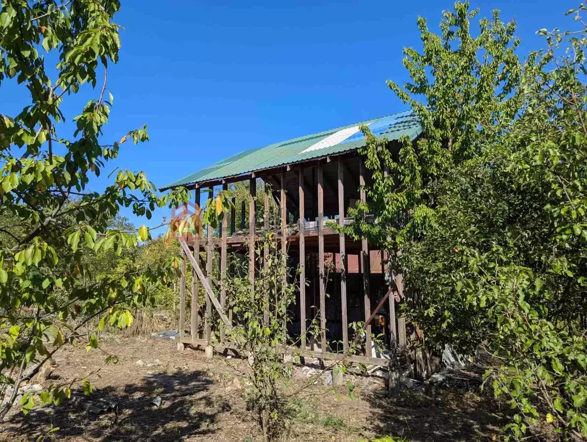 ����, 92 ��.�. ���� 1