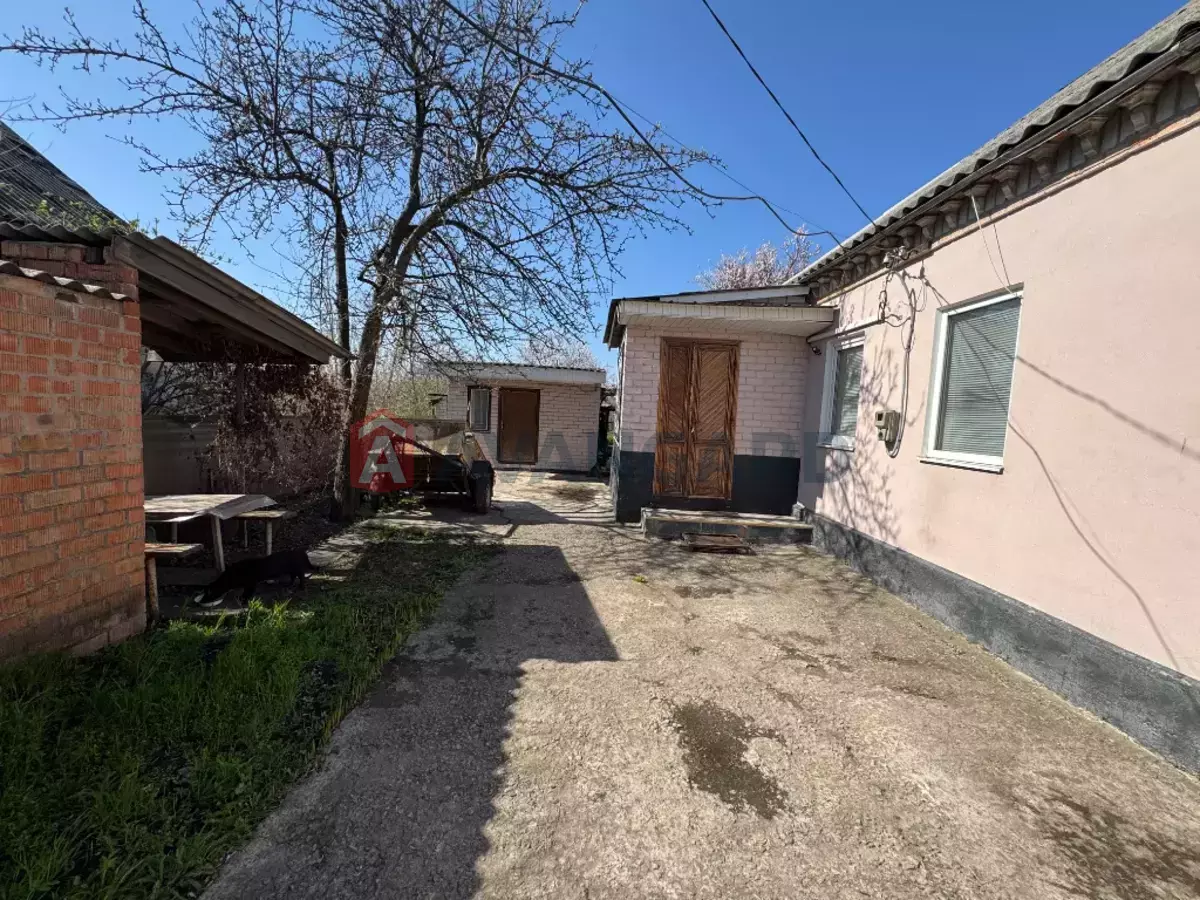 �������, 86 ��.�. ���� 3