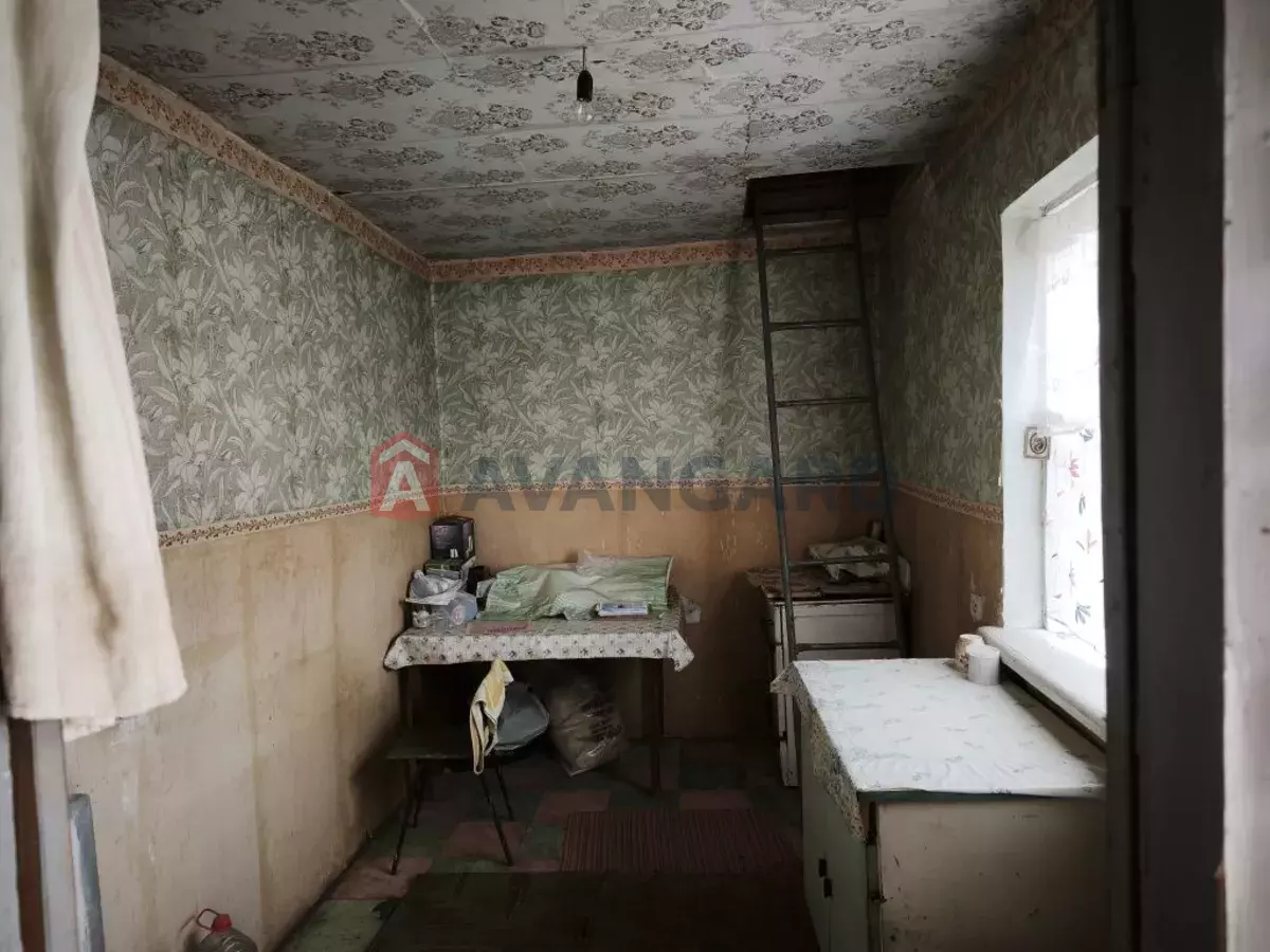 ����, 50 ��.�. ���� 7