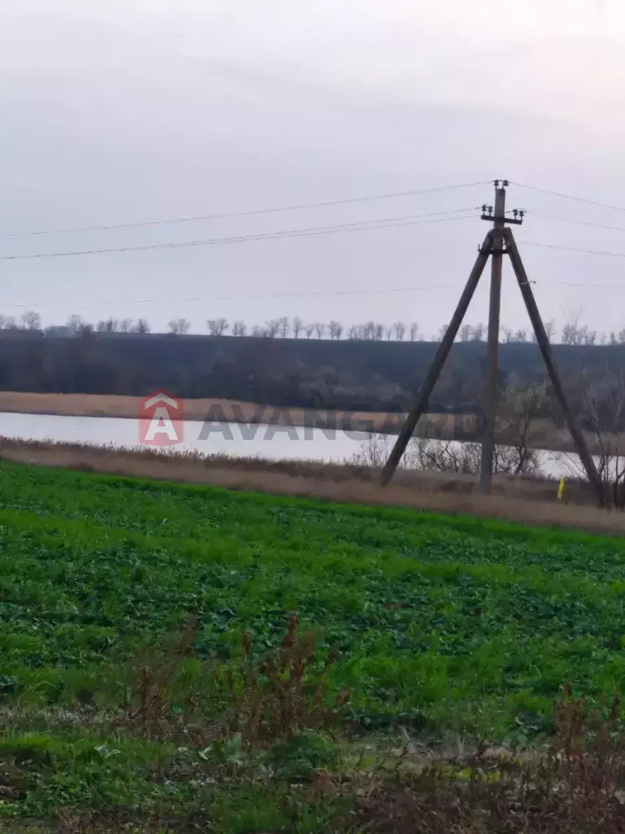 ���, 65 ��.�. ���� 20