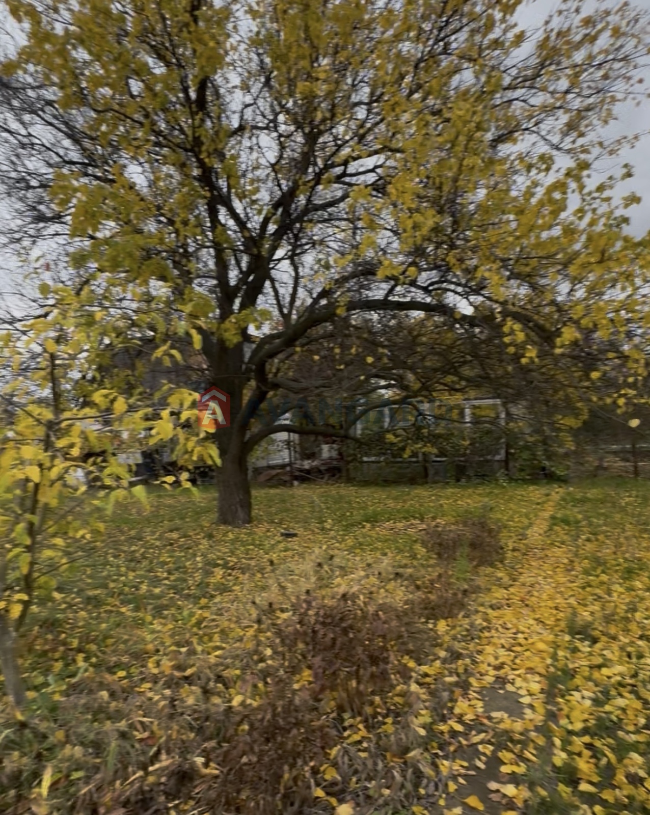 Дача, 55 кв.м. фото 18 Дача, 55 кв.м. фото 18