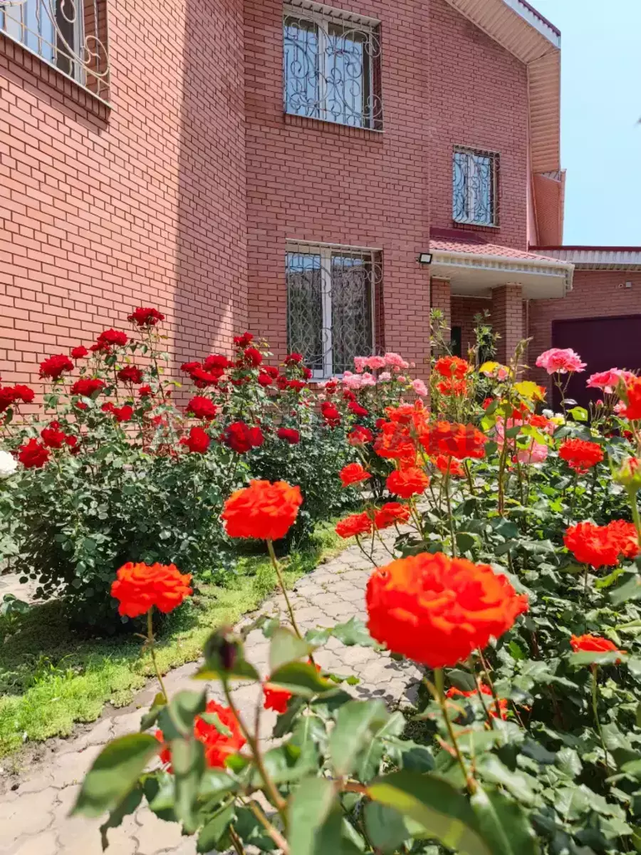 Будинок, 496 кв.м. фото 2 Будинок, 496 кв.м. фото 2