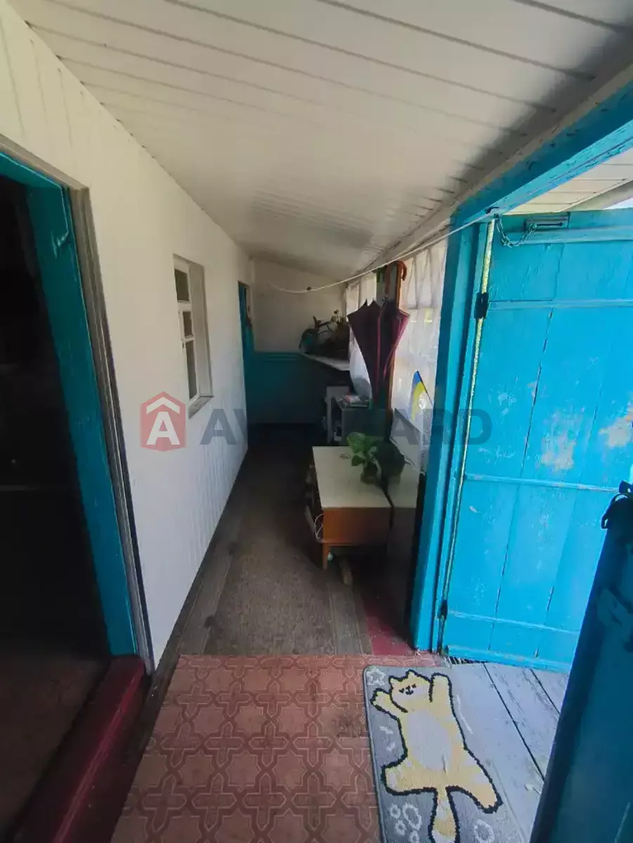 ����� ����, 51 ��.�. ���� 4