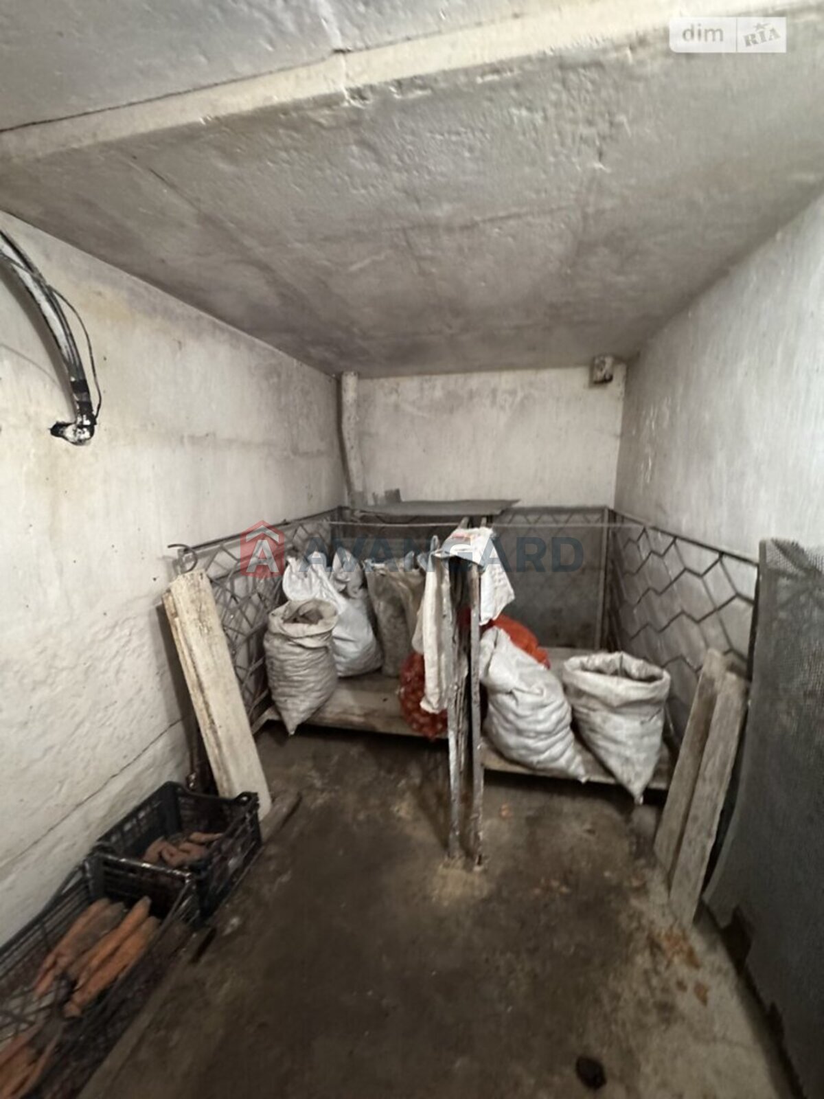 �������, 300 ��.�. ���� 19