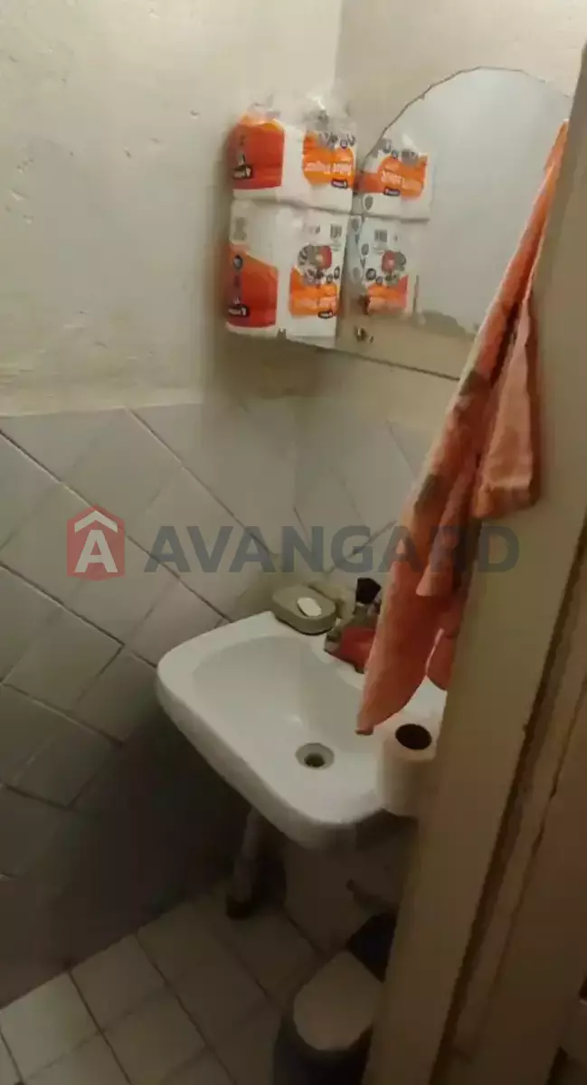 �������, 137 ��.�. ���� 24