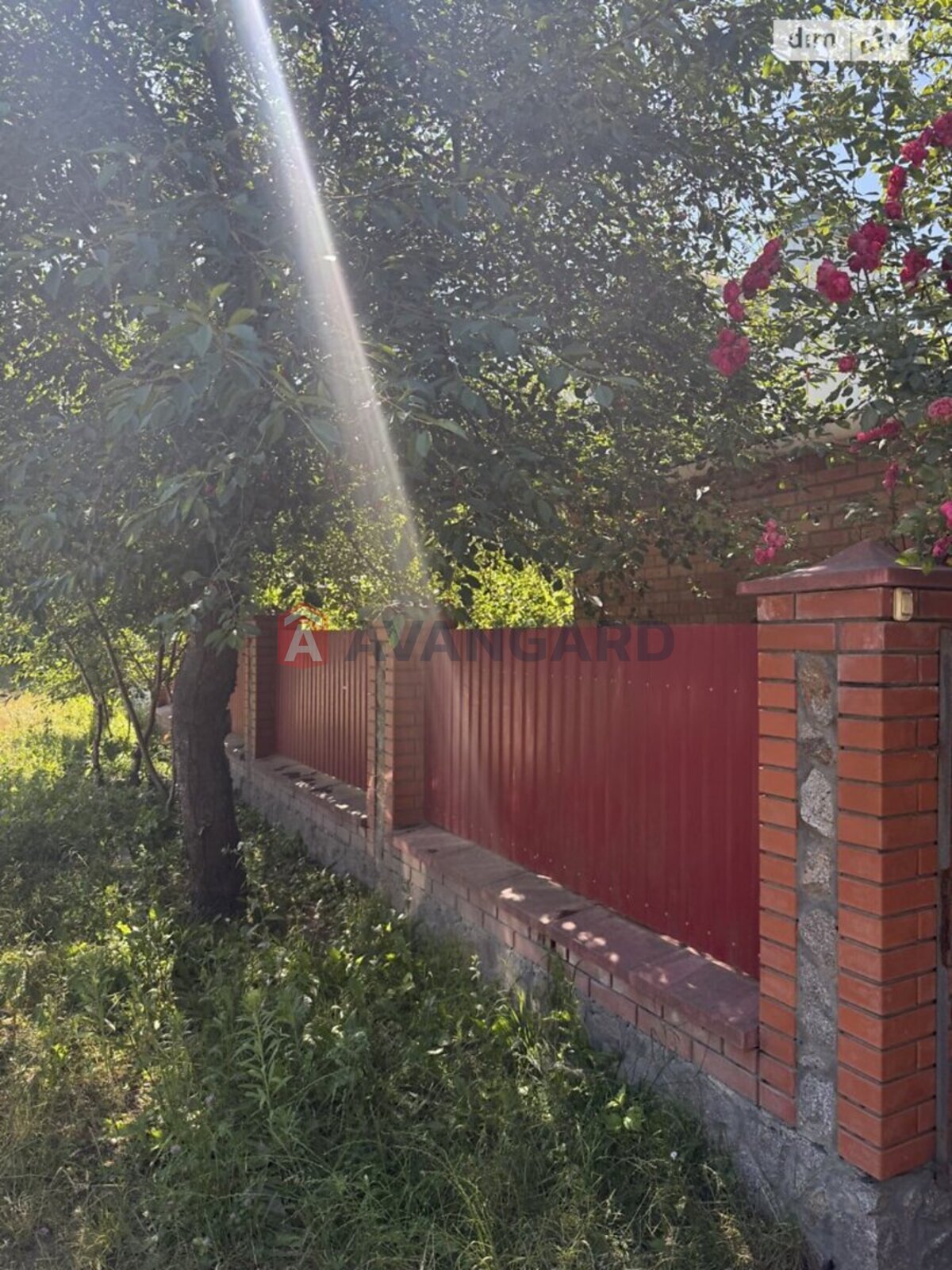 , 79 ..  2