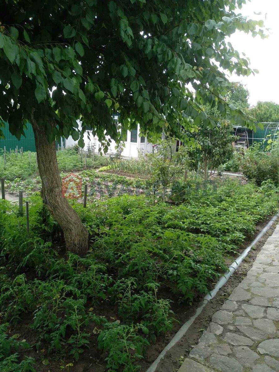 Будинок, 200 кв.м. фото 8 Будинок, 200 кв.м. фото 8