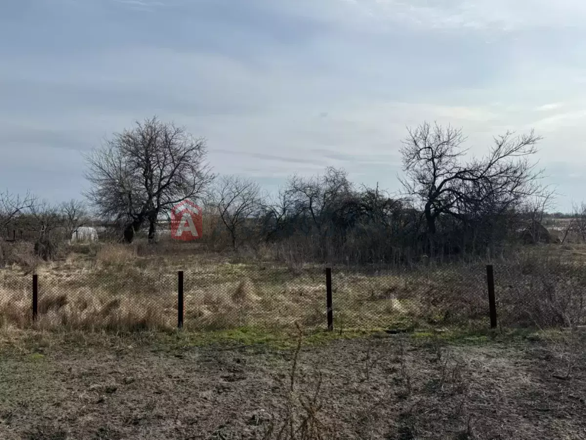 �������, 55 ��.�. ���� 6