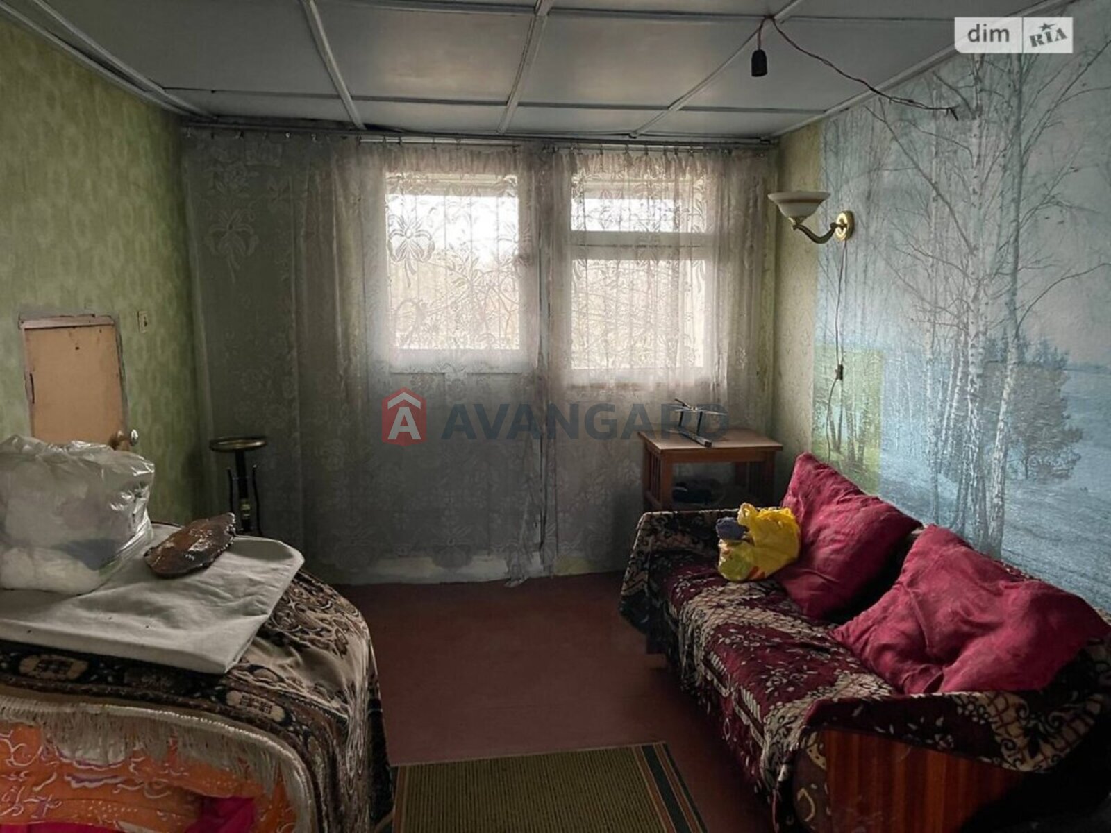 �������, 49 ��.�. ���� 22