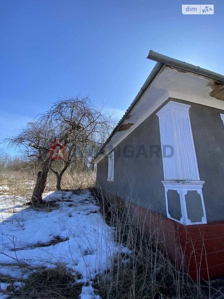 �������, 80 ��.�. ���� 11