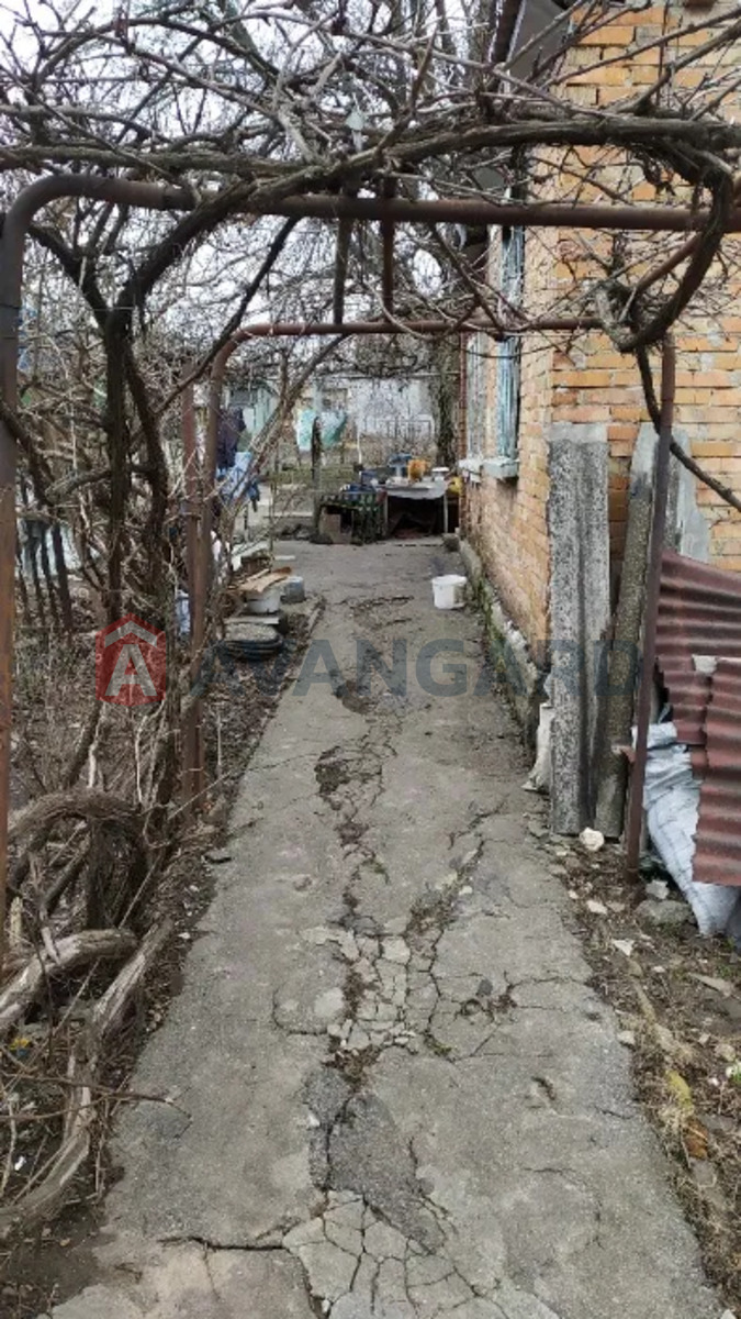 ����� ����, 40 ��.�. ���� 2