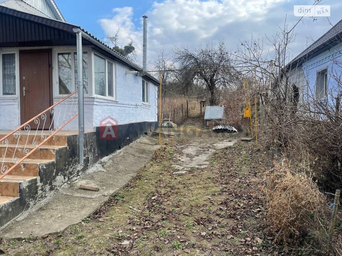 �������, 96 ��.�. ���� 17