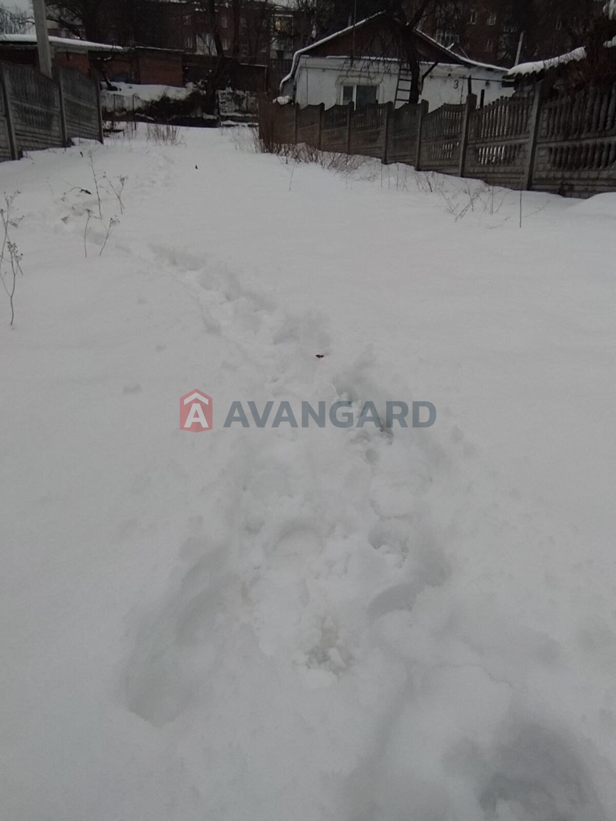 �������, 80 ��.�. ���� 3