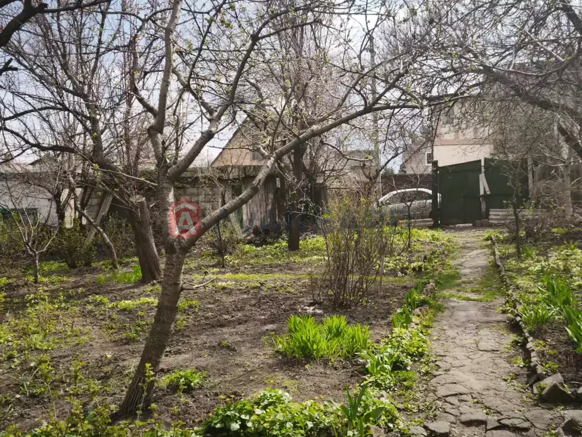 �������, 64 ��.�. ���� 1