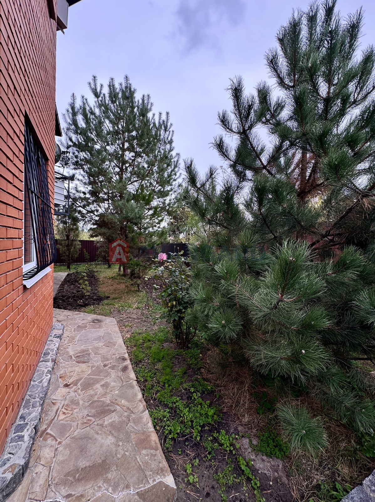 �������, 176 ��.�. ���� 16