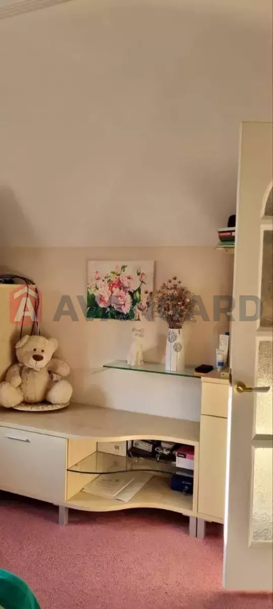 �������, 217 ��.�. ���� 9