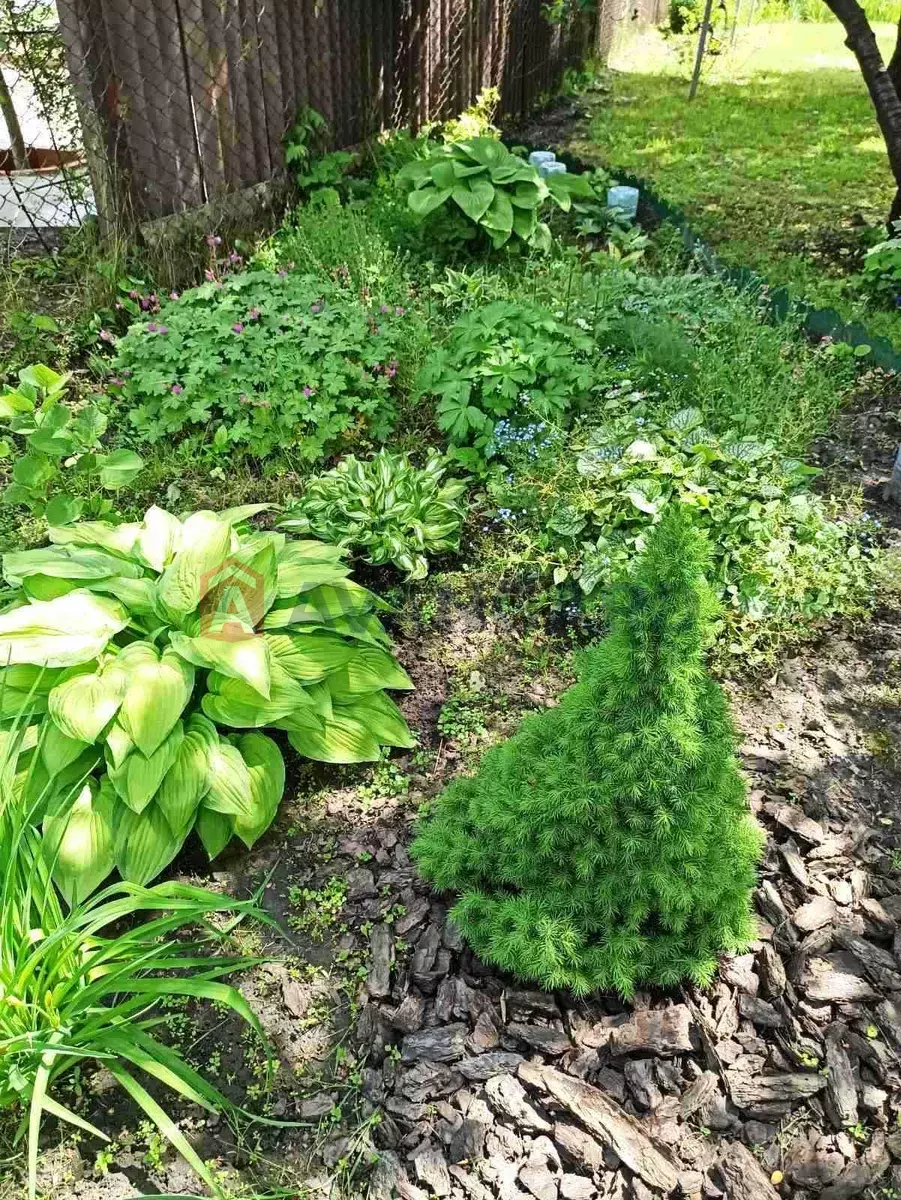 ����, 30 ��.�. ���� 16