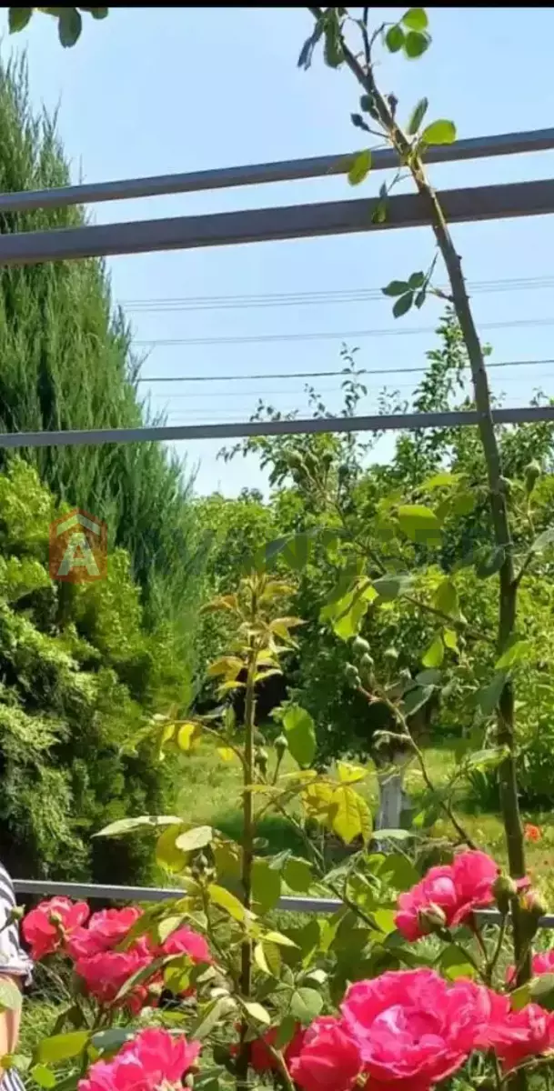 ����, 90 ��.�. ���� 9