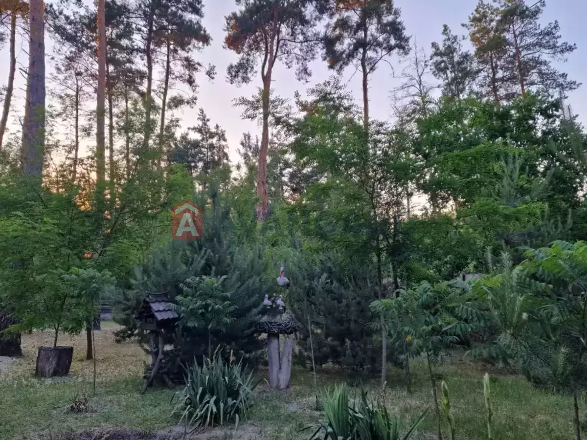 216 ��.�. ���� 17