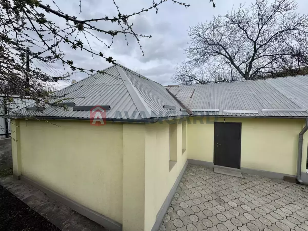 �������, 95 ��.�. ���� 19