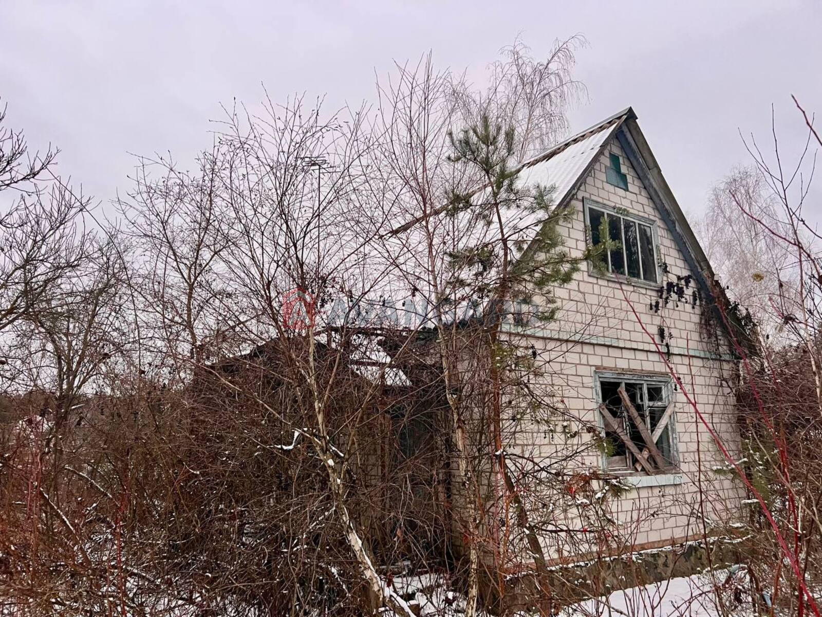 ����, 50 ��.�. ���� 17