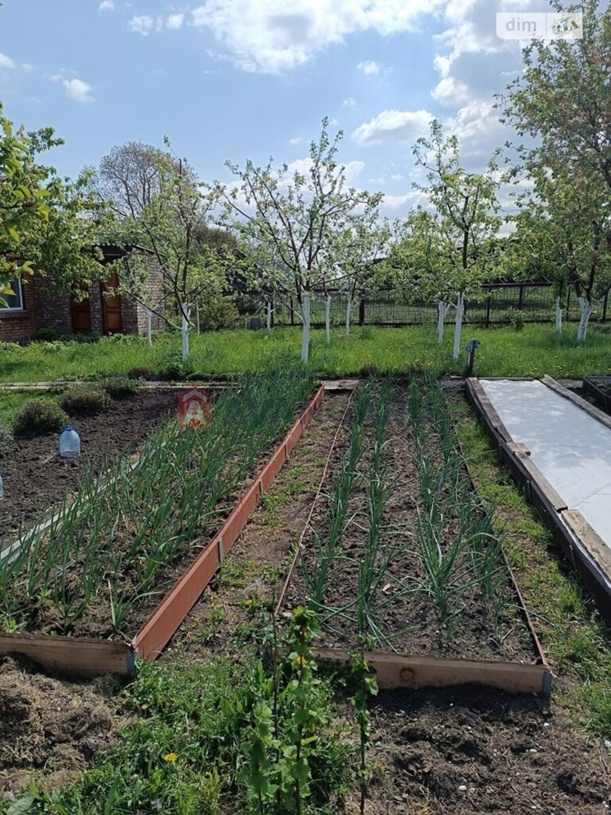 ���, 84 ��.�. ���� 30