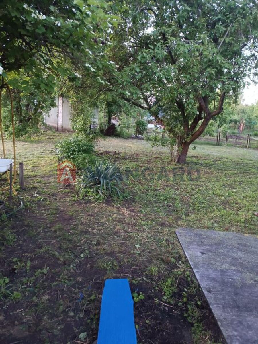 ����, 64 ��.�. ���� 7