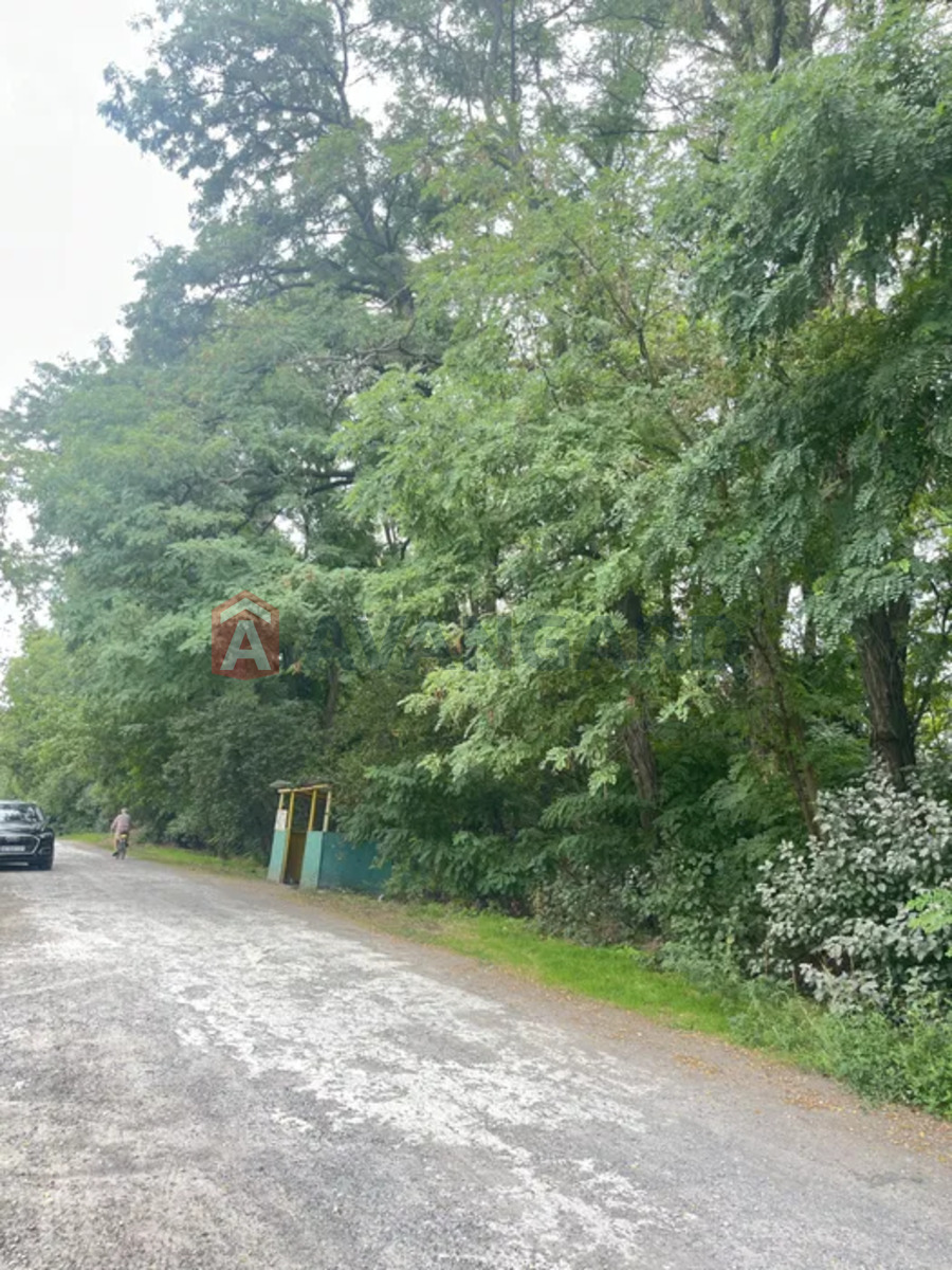 ����, 8 ��.�. ���� 11