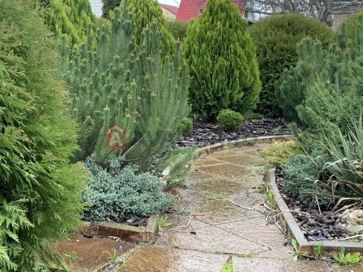 ����, 140 ��.�. ���� 13