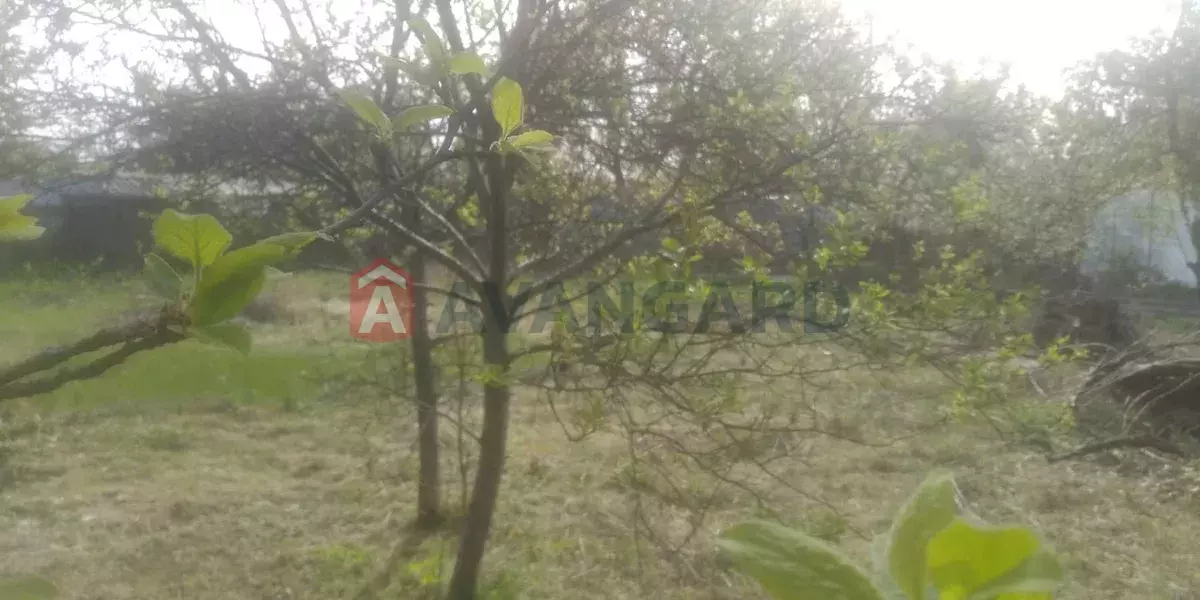 ����, 6 ��.�. ���� 4