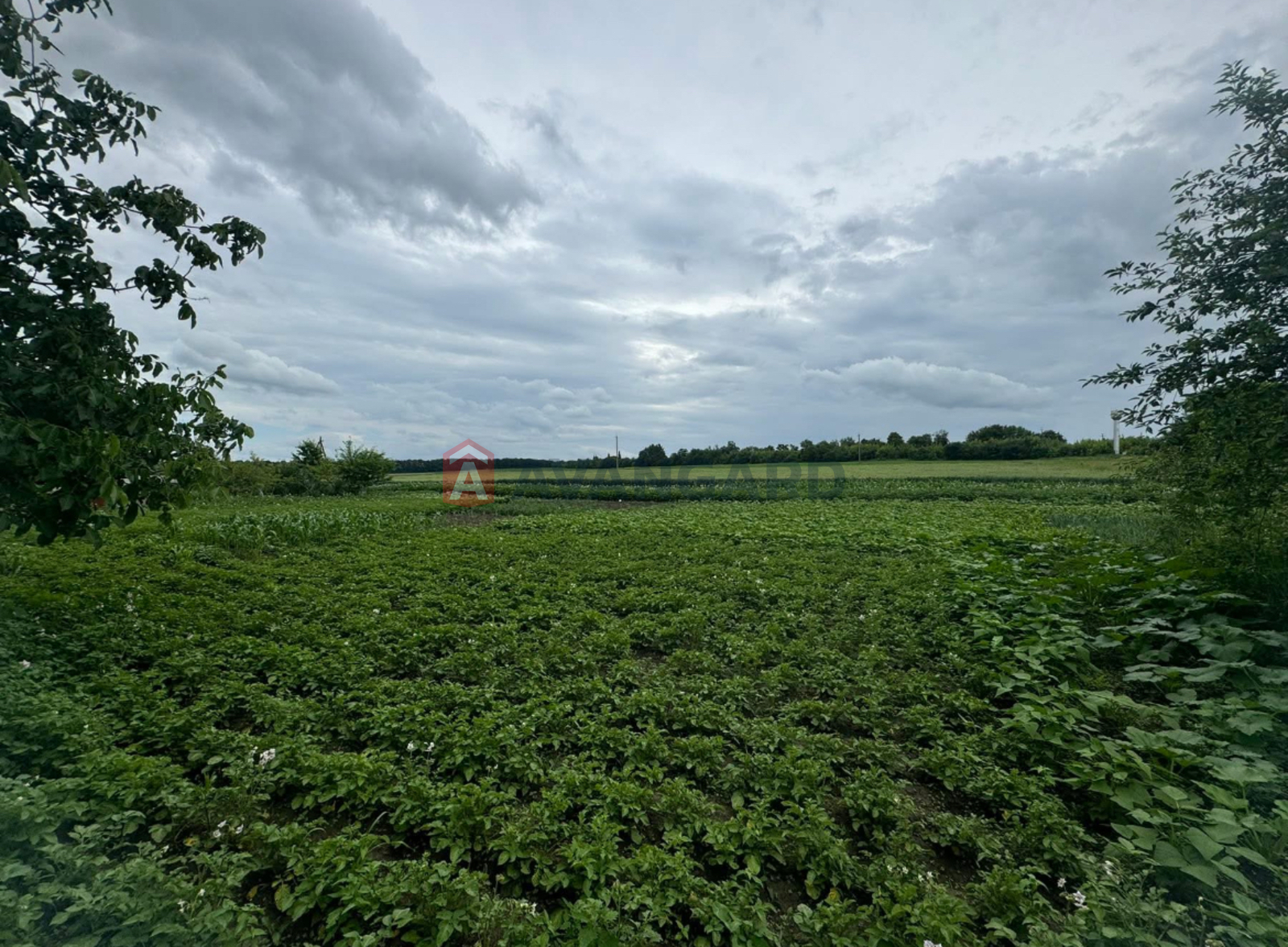 �������, 65 ��.�. ���� 3