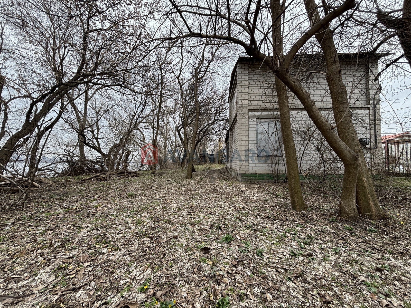 ����, 51 ��.�. ���� 1