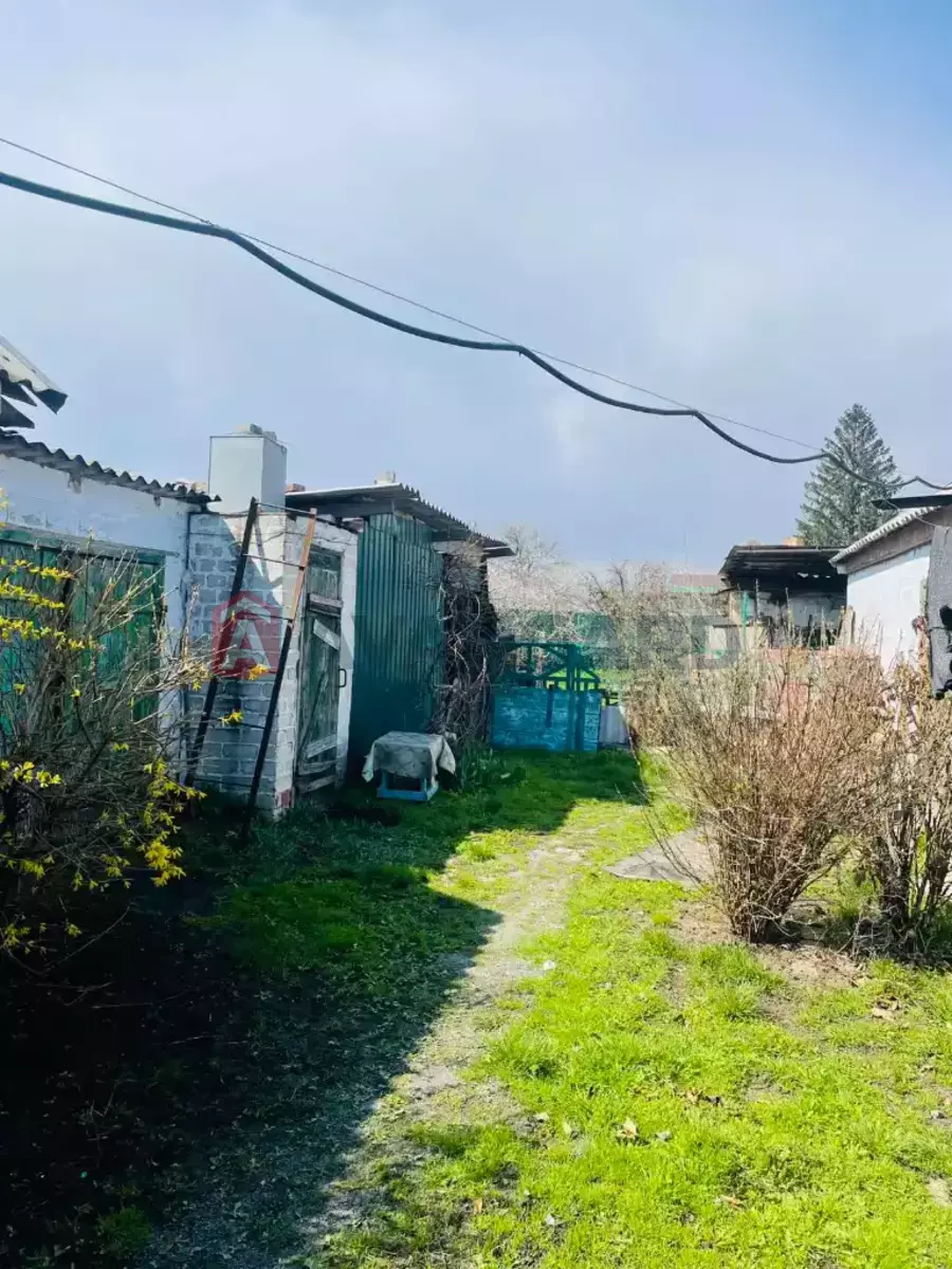 �������, 50 ��.�. ���� 11