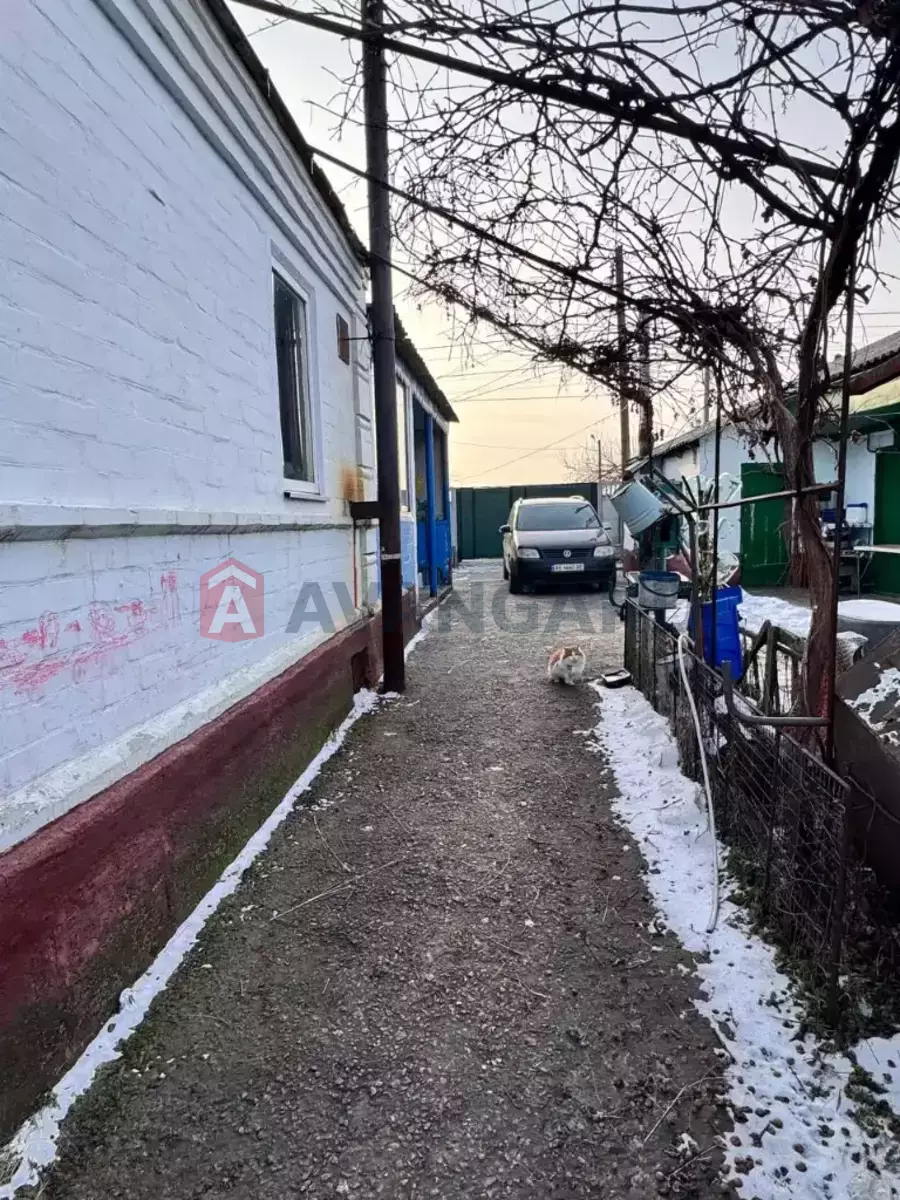 �������, 65 ��.�. ���� 9