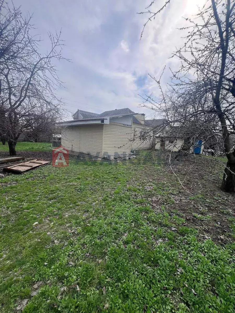 ���, 80 ��.�. ���� 5