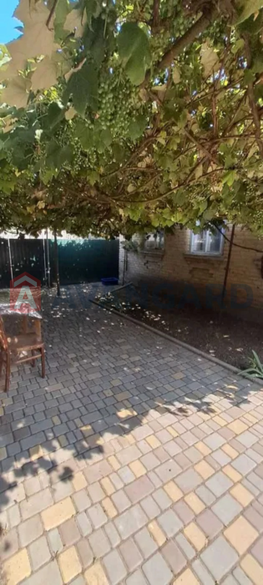 �������, 80 ��.�. ���� 4