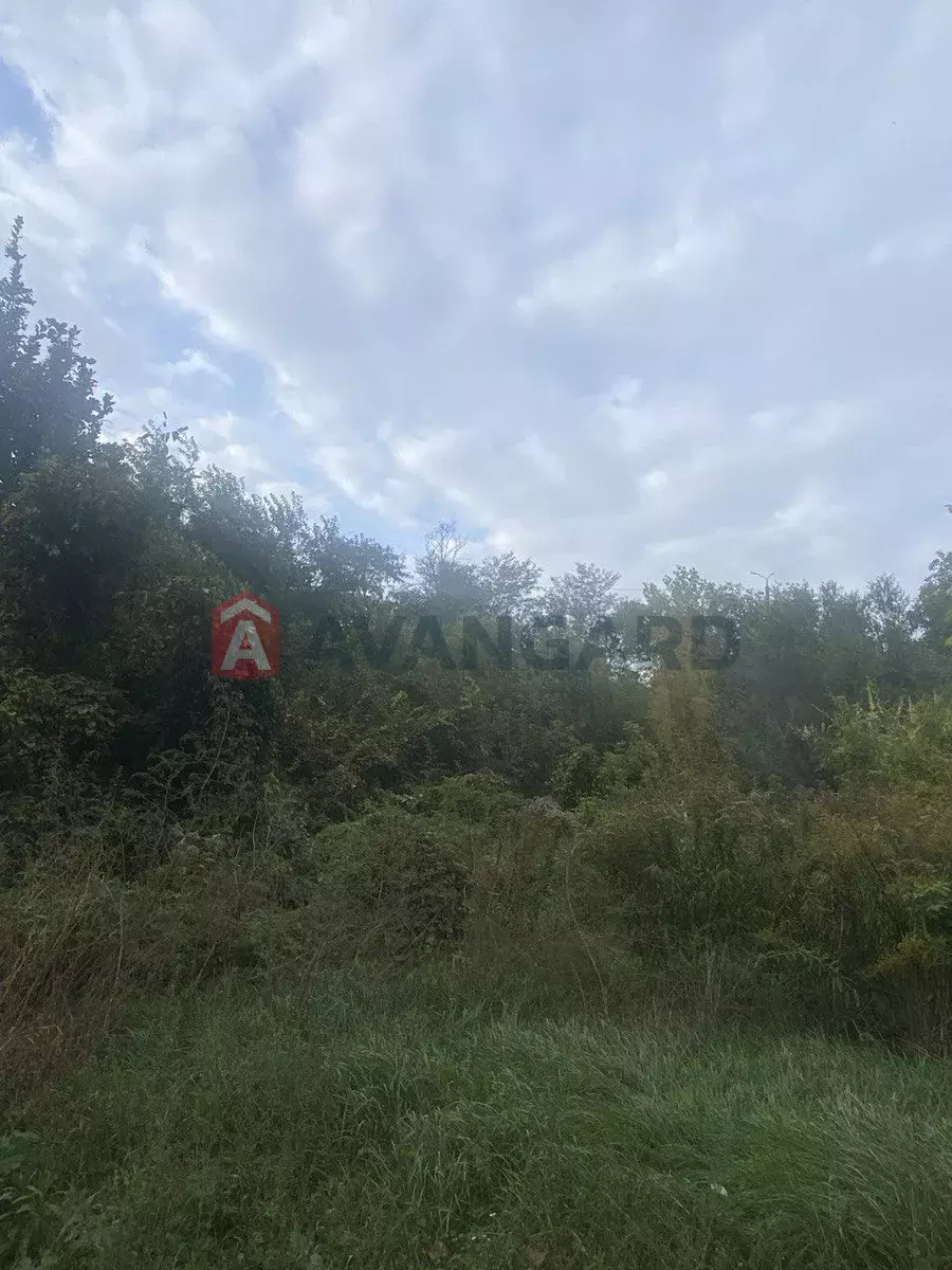 ����, 12 ��.�. ���� 1