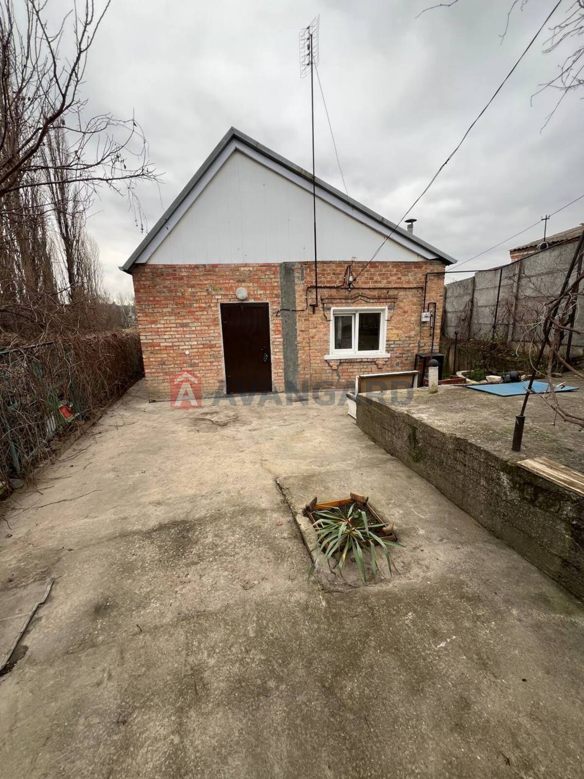 �������, 49 ��.�. ���� 19