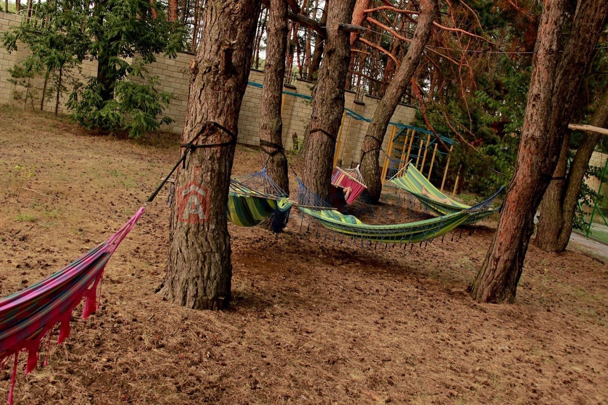 ��������, 315 ��.�. ���� 17