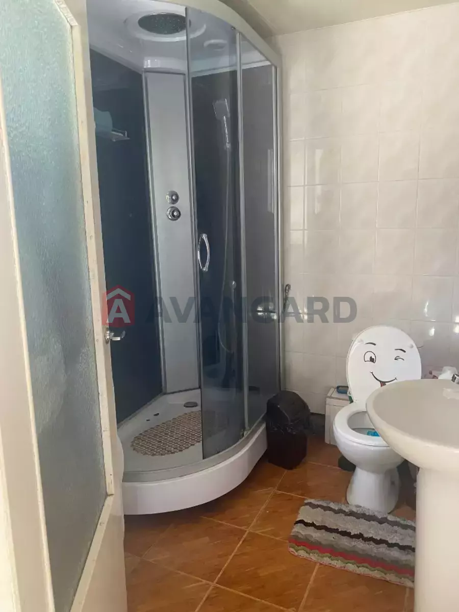 �������, 157 ��.�. ���� 12