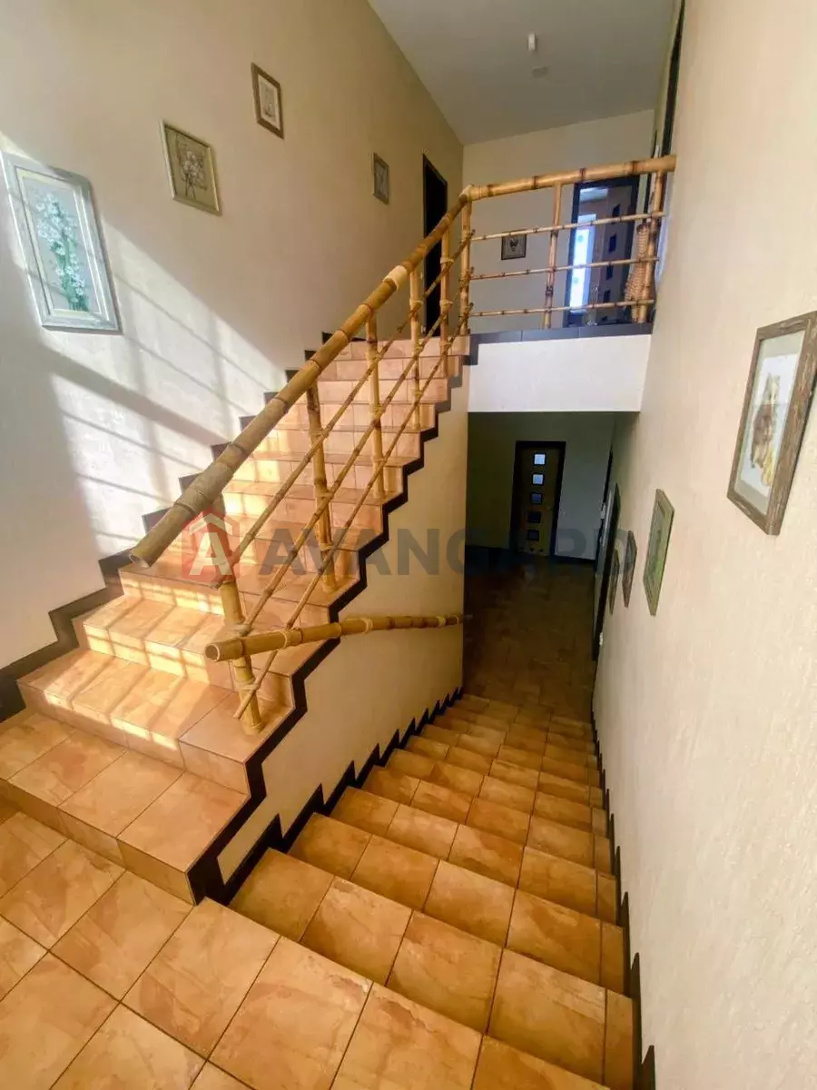 �������, 230 ��.�. ���� 15