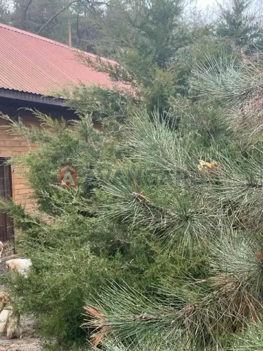 216 ��.�. ���� 2